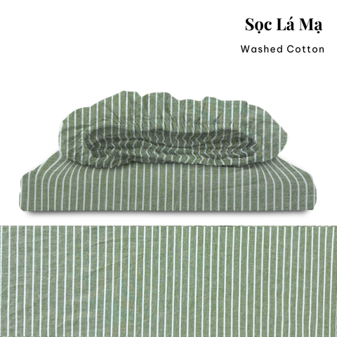  Drap giường Washed Cotton [ Sọc Lá Mạ ] 