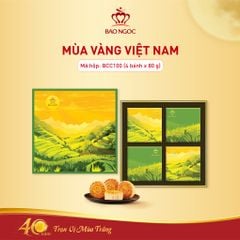 Hộp Bánh Trung Thu Cao Cấp Mùa Vàng Việt Nam | Bảo Ngọc