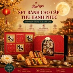 Bánh Trung Thu cao cấp 