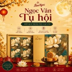 [ MÃ ĐỘC QUYỀN - Mới 2025] Hộp 4 Bánh kèm Túi  Trung Thu Bảo Ngọc Cao Cấp 