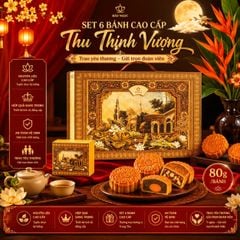 Bánh 6 bánh Trung Thu cao cấp 