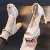  Giày Cao Gót 9 Phân Da Bóng  Cao Cấp Đúp Mũi 2 Phân 2769-3 