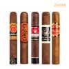 Combo 5 Điếu XGND Assorted Số 1