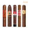 Combo 5 Điếu XGND Assorted Số 5