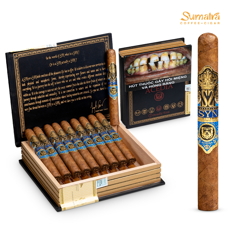 Tabacalera SYN Acedia Corona