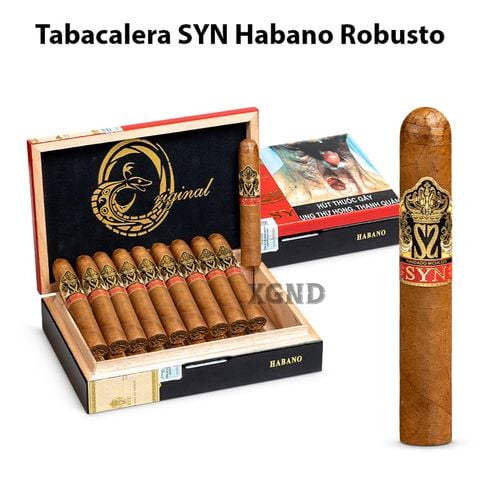 Cigar Tabacalera SYN Habano Robusto - Xì Gà Chính Hãng