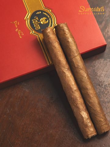 Cigar Talon Premium Gordo Phoenix - Xì Gà Mini Chính Hãng