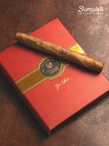 Cigar Talon Premium Gordo Phoenix - Xì Gà Mini Chính Hãng