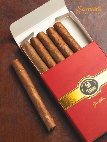 Cigar Talon Premium Gordo Phoenix - Xì Gà Mini Chính Hãng