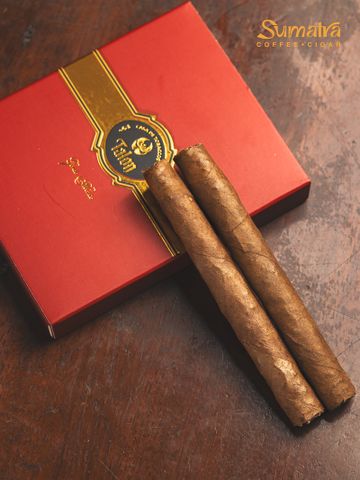 Cigar Talon Premium Gordo Phoenix - Xì Gà Mini Chính Hãng