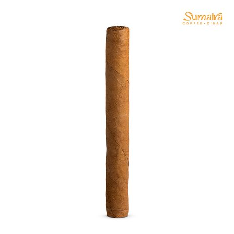 Cigar Talon Premium Mini Phoenix - Xì Gà Mini Chính Hãng