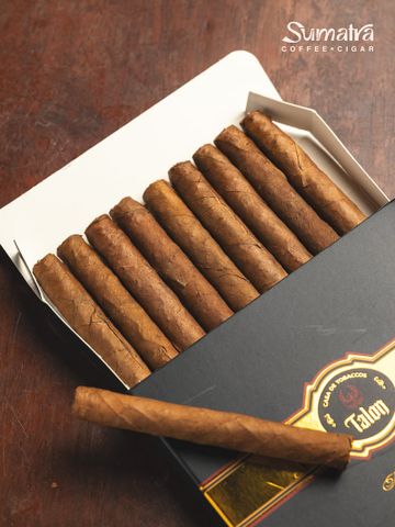 Cigar Talon Premium Mini Phoenix - Xì Gà Mini Chính Hãng