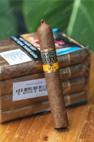 Cigar Vedado Master 54 Toro - Xì Gà Chính Hãng