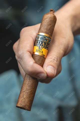 Cigar Vedado Master 54 Toro - Xì Gà Chính Hãng
