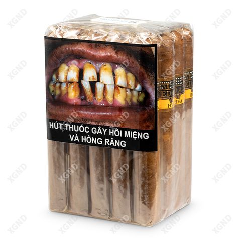 Cigar Vedado Master 56 Grand Toro - Xì Gà Chính Hãng