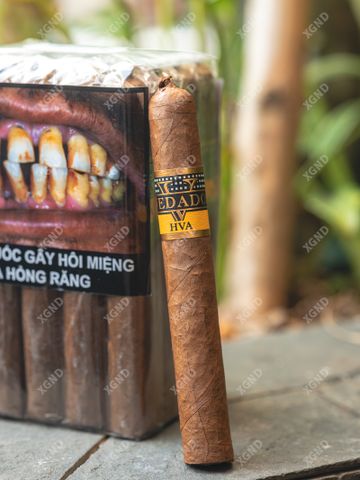 Cigar Vedado Master 56 Grand Toro - Xì Gà Chính Hãng