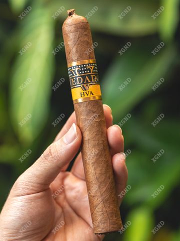Cigar Vedado Master 56 Grand Toro - Xì Gà Chính Hãng