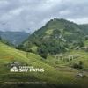  Fansipan Sky Paths – Training Camp 2026 