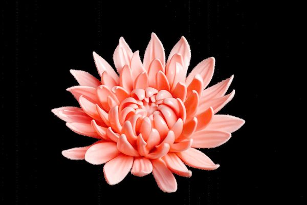 Khuôn silicon hoa cúc đại cánh nhọn lớn 9cm ( TC849 )