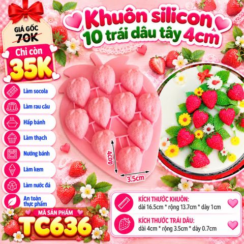 Khuôn silicon 10 trái dâu tây 4cm  ( TC636 ) CÒN 3 CÁI