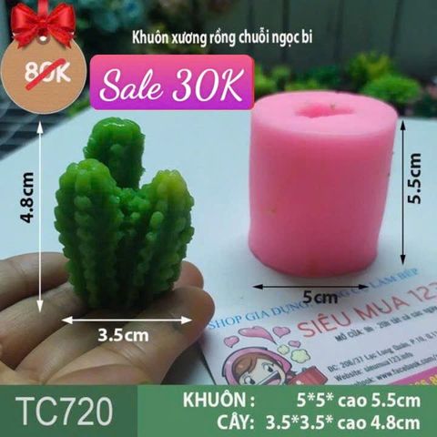 Khuôn silicon làm rau câu xương rồng chuỗi ngọc bi 3c ( TC720 )