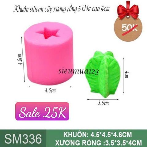 Khuôn silicon cây xương rồng 5 khía cao 4cm ( SM336 )