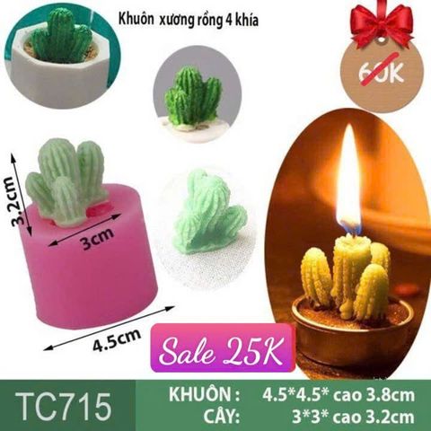 Khuôn silicon làm rau câu xương rồng 4 khía ( TC715 )