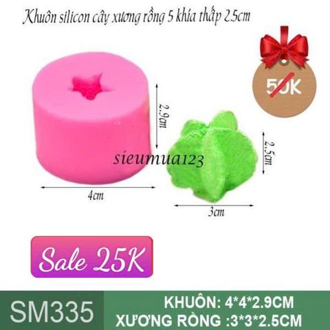 Khuôn silicon cây xương rồng 5 khía thấp 2,5cm ( SM335 )