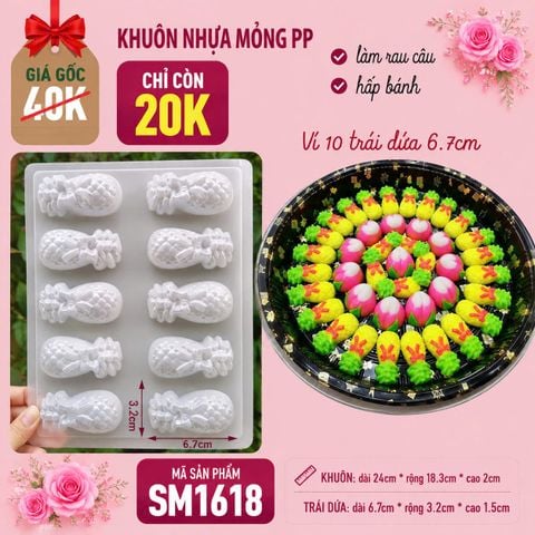 Khuôn nhựa mỏng 10 trái dứa 6,7cm làm rau câu , bánh tổ ( SM1618)