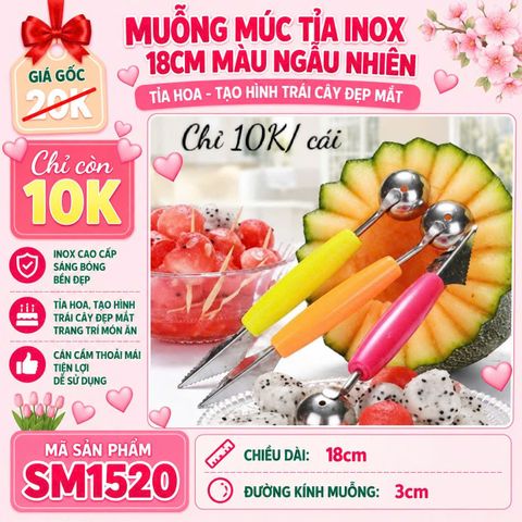 1 Muỗng Múc Tỉa Inox 18cm màu ngẫu nhiên ( SM1520 )