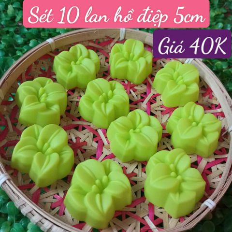 Sét 10 khuôn silicon hoa lan hồ điệp 5cm ( SM1960 ) mẫu 2024