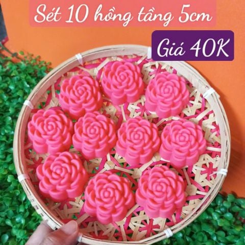 Sét 10 khuôn silicon hoa hồng tầng 5cm ( SM1967 ) mẫu 2024