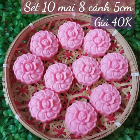 Sét 10 khuôn silicon hoa mai 8 cánh 5cm ( SM1966 ) mẫu 2024