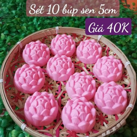 Sét 10 khuôn silicon búp sen 5cm ( SM1964 ) mẫu 2024