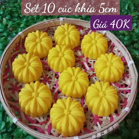 Sét 10 khuôn silicon hoa cúc khía 5cm ( SM1963 ) mẫu 2024