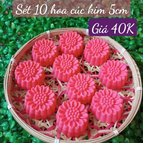 Sét 10 khuôn silicon hoa cúc kim 5cm ( SM1962 ) mẫu 2024