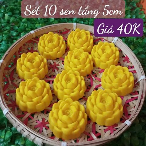 Sét 10 khuôn silicon hoa sen tầng 5cm ( SM1961 ) mẫu 2024