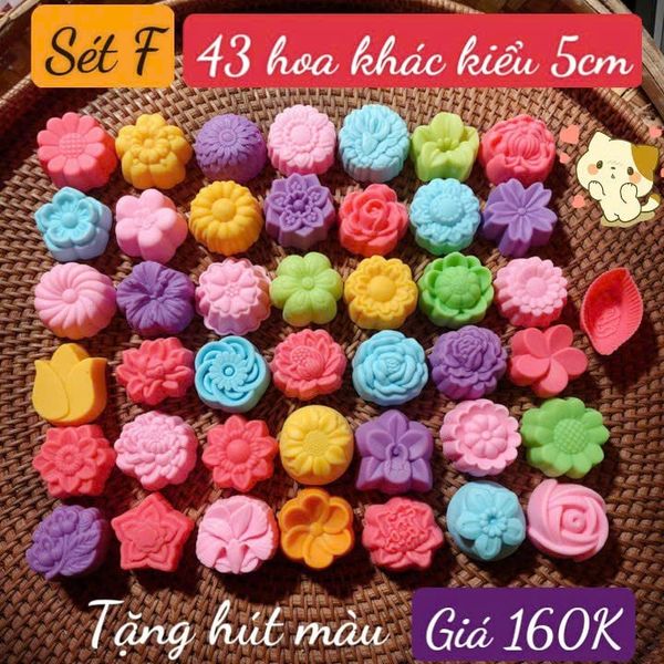 Sét 43 khuôn silicon hoa đủ loại 5cm ( gồm 43 kiểu hoa khác nhau ) ( SM1948 ) - sét F