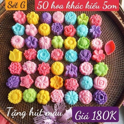 Sét 50 khuôn silicon hoa khác nhau 5cm ( gồm 50 kiểu hoa khác nhau ) ( SM1986 ) mẫu 2024 - sét G