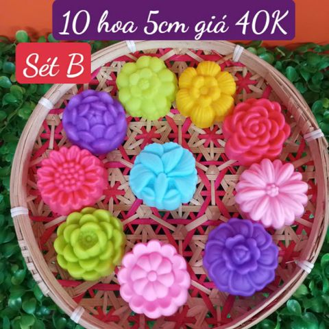 Sét 10 khuôn silicon hoa kiểu mới 5cm ( gồm 10 kiểu hoa khác nhau ) ( SM1957 ) mẫu 2024