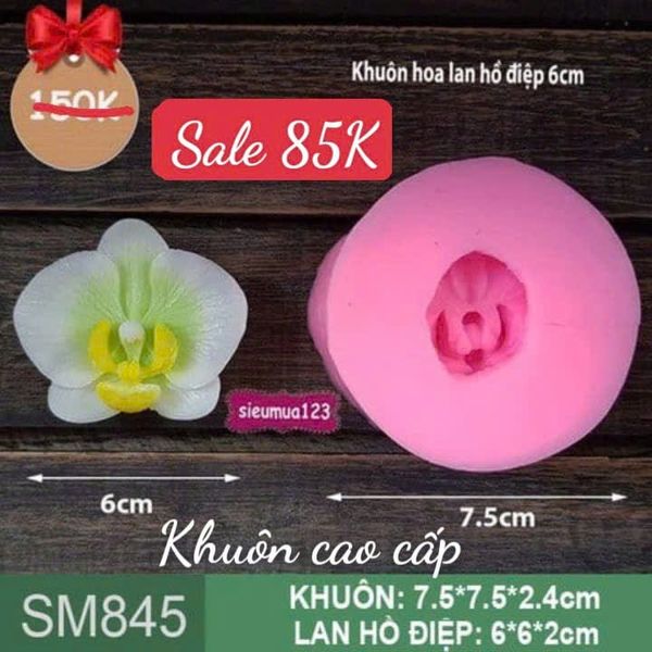 Khuôn silicon hoa lan hồ điệp 6cm ( SM845 )