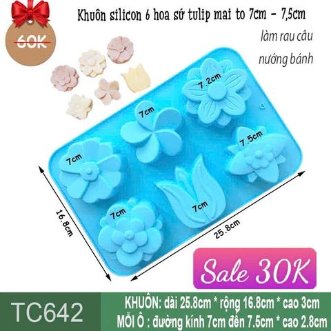 Khuôn silicon 6 hoa sứ tulip mai to 7cm - 7,5cm ( TC642 )
