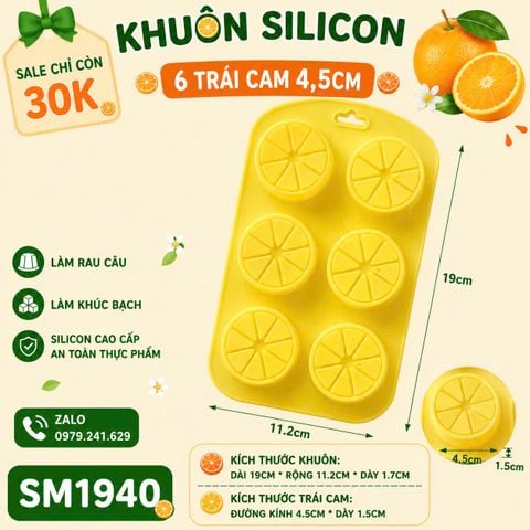 Khuôn silicon 6 trái cam 4,5cm ( SM1940 ) mẫu 2024