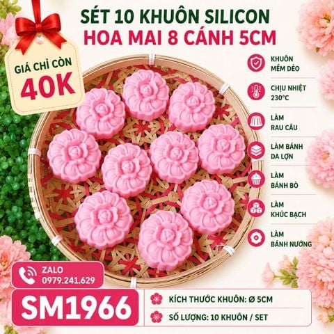 Sét 10 khuôn silicon hoa mai 8 cánh 5cm ( SM1966 ) mẫu 2024