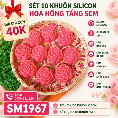 Sét 10 khuôn silicon hoa hồng tầng 5cm ( SM1967 ) mẫu 2024