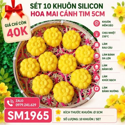 Sét 10 khuôn silicon hoa mai cánh tim 5cm ( SM1965 ) mẫu 2024
