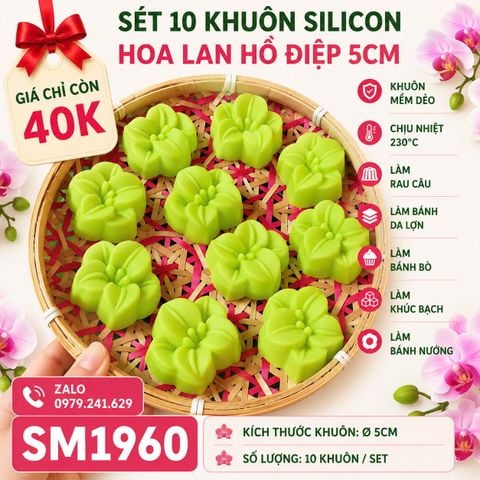 Sét 10 khuôn silicon hoa lan hồ điệp 5cm ( SM1960 ) mẫu 2024