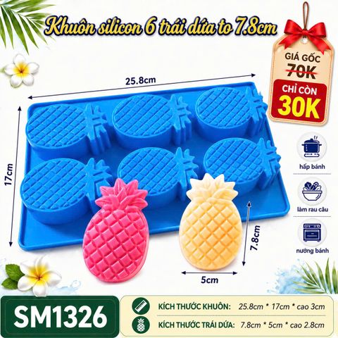 Khuôn silicon làm rau câu 6 trái dứa to 7,8 x 5cm ( SM1326 )
