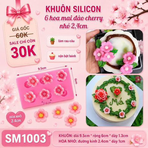 Khuôn silicon 6 hoa mai đào cherry nhỏ 2,4cm ( SM1003 )