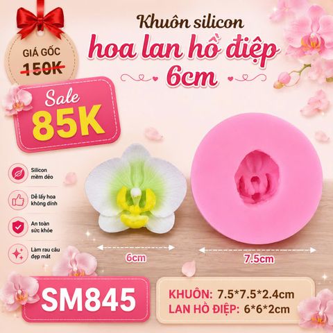 Khuôn silicon hoa lan hồ điệp 6cm ( SM845 )